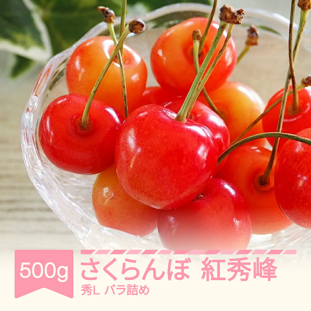 【ふるさと納税】先行予約 さくらんぼ 紅秀峰 秀Lサイズ バラ詰め 500g 2025年産 令和7年産 山形県産 果物 サクランボ ns-bsslb500 送料無料 ※沖縄・離島への配送不可