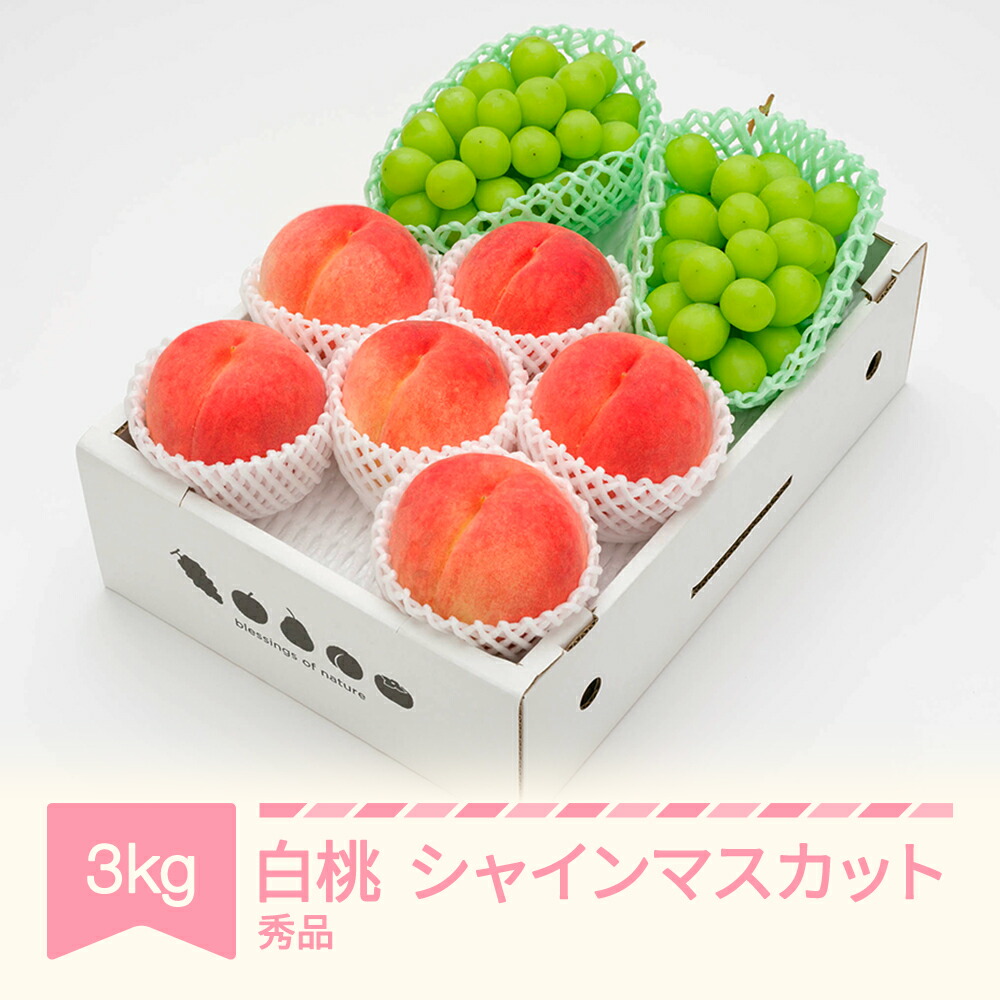 【ふるさと納税】先行予約 白桃 秀品＆シャインマスカット 詰め合わせ 品種おまかせ 約3kg 令和7年産 2025年産 山形県産 果物 送料無料 ns-fshsx3<br>※沖縄・離島への配送不可