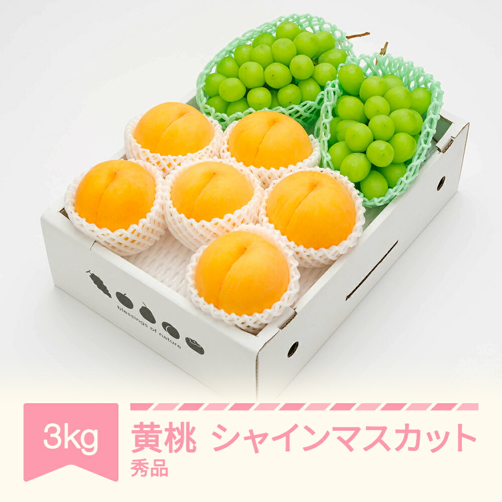 【ふるさと納税】もも ぶどう 有袋黄桃 秀品＆ シャインマスカット 詰め合わせ 品種おまかせ 化粧箱入り 約3kg 令和七年産 2025年産 山形県産 果物 送料無料 ns-fsosx3<br>※沖縄・離島への配送不可