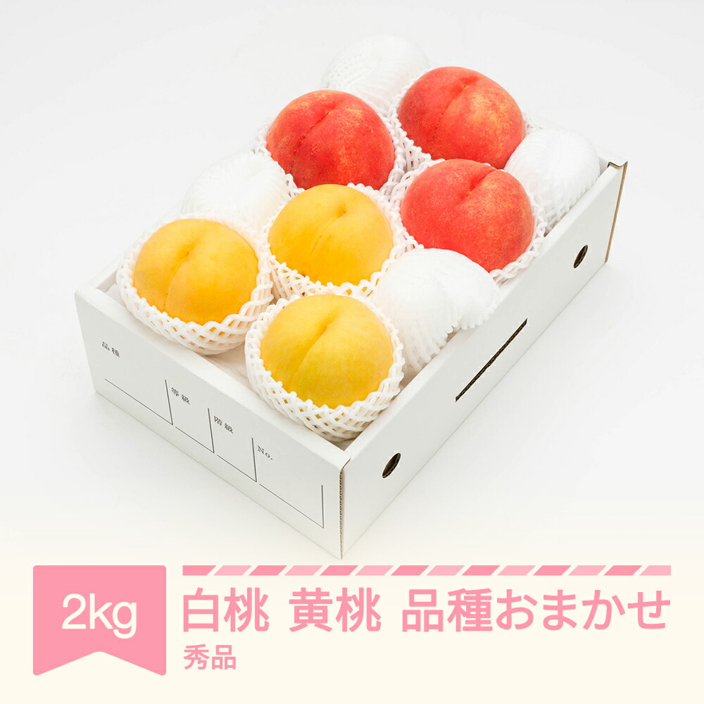 【ふるさと納税】先行予約 もも 白桃＆有袋黄桃 秀品 品種おまかせ 化粧箱入り 約2kg 令和7年産 2025年産 山形県産 果物 送料無料 ns-mohot2<br>※沖縄・離島への配送不可