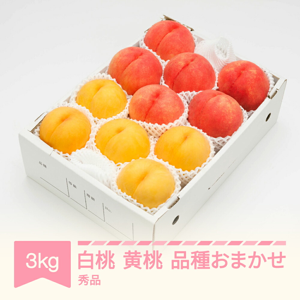 【ふるさと納税】【先行予約】 もも 白桃&有袋黄桃 秀品 品種おまかせ 化粧箱入り 約3kg 令和8年産 2026年産 山形県産 果物 送料無料 ns-mohot3※沖縄・離島への配送不可|山形県村山市