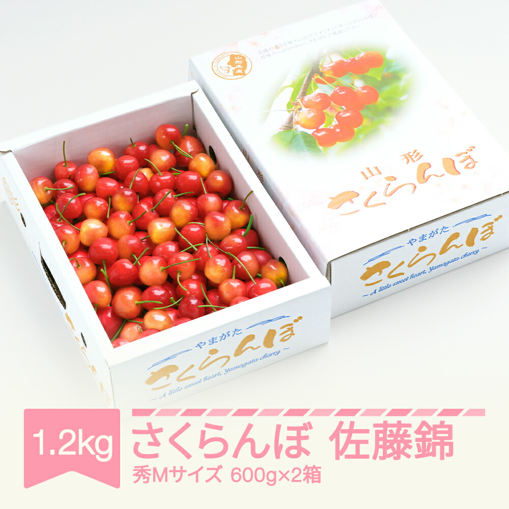 【ふるさと納税】先行予約 さくらんぼ 佐藤錦 秀Mサイズ  バラ詰め 1.2kg(600g×2箱) 2025年産 令和7年産 山形県産 送料無料 サクランボ