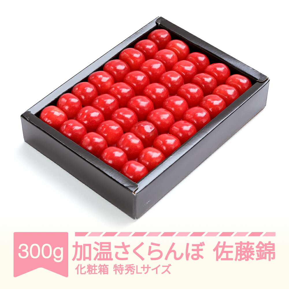 【ふるさと納税】【先行予約】 加温さくらんぼ 佐藤錦 特秀Lサイズ プレゼント ギフト 化粧箱鏡詰め 300g 2026年産 令和8年産 山形県産 送料無料 サクランボ ※沖縄・離島への配送不可 ns-sntlx300