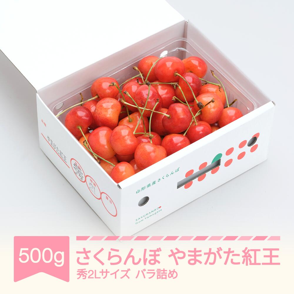 とまとページ imgrc0076601127.jpg