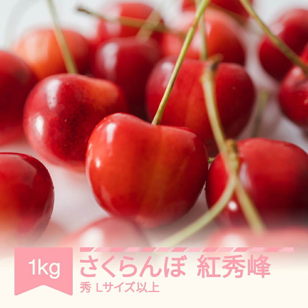 【ふるさと納税】【先行予約】さくらんぼ 紅秀峰 Lサイズ以上 1kg 山形県産 令和8年産 2026年産 フルーツ 果物 くだもの サクランボ sb-bsslx1000 ※沖縄・離島への配送不可