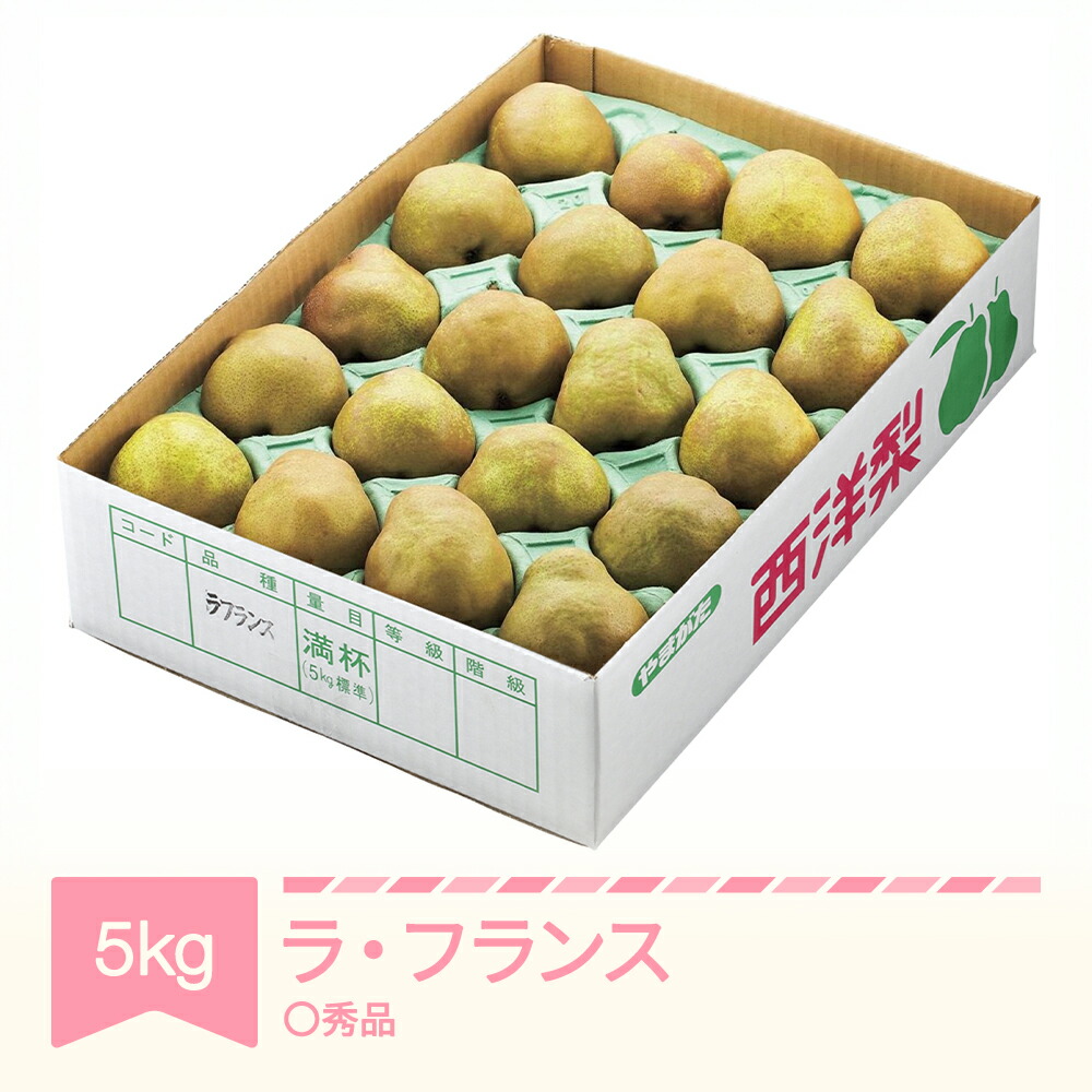 【ふるさと納税】 ラ・フランス 洋梨 ラフランス ◯秀品 約5kg 2025年産 令和7年産 果物 山形県産 送料無料 sb-lamsx5