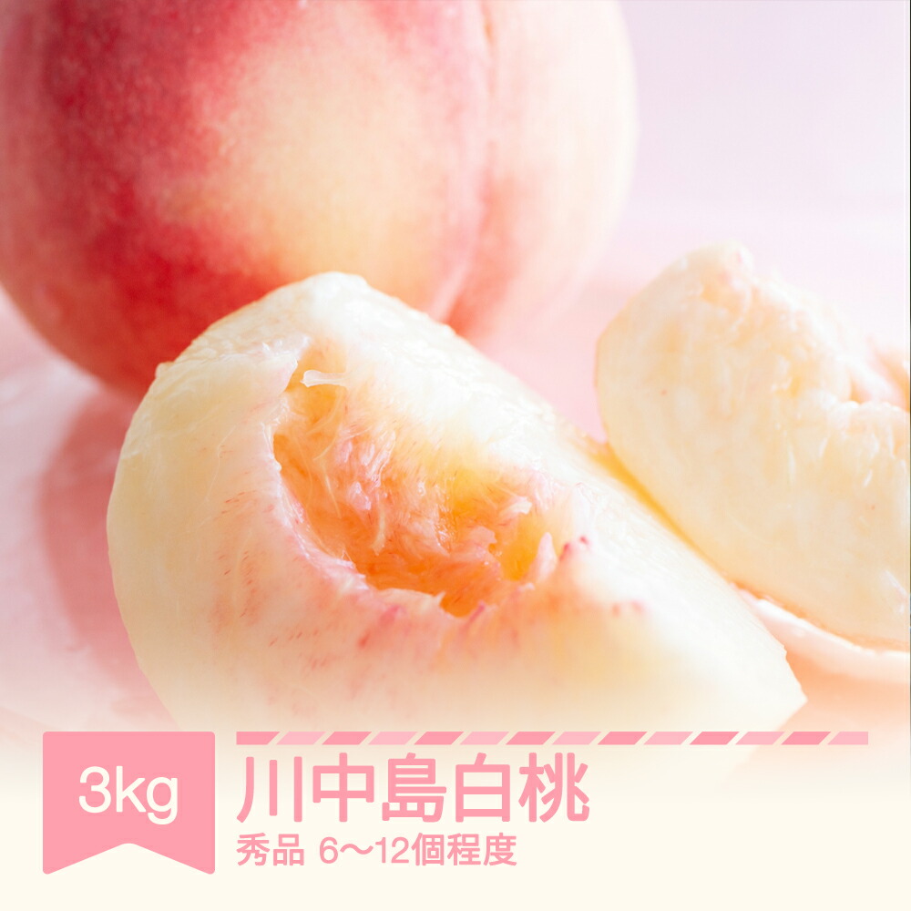 【ふるさと納税】【先行予約】 桃 川中島 秀品 約3kg (6~12個程度) 山形県産 令和8年産 2026年産 フルーツ 果物 くだもの もも モモ sb-moknx3 ※沖縄・離島への配送不可|山形県村山市