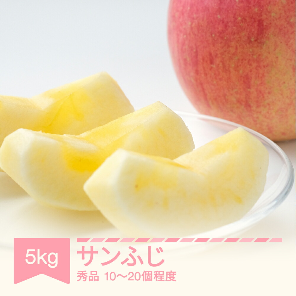 【ふるさと納税】 先行予約 2025年産 りんご サンふじ 秀品 約5kg (10~20個程度) 山形県産 フルーツ 果物 くだもの リンゴ 林檎 sb-risfx5 ※沖縄・離島への配送不可