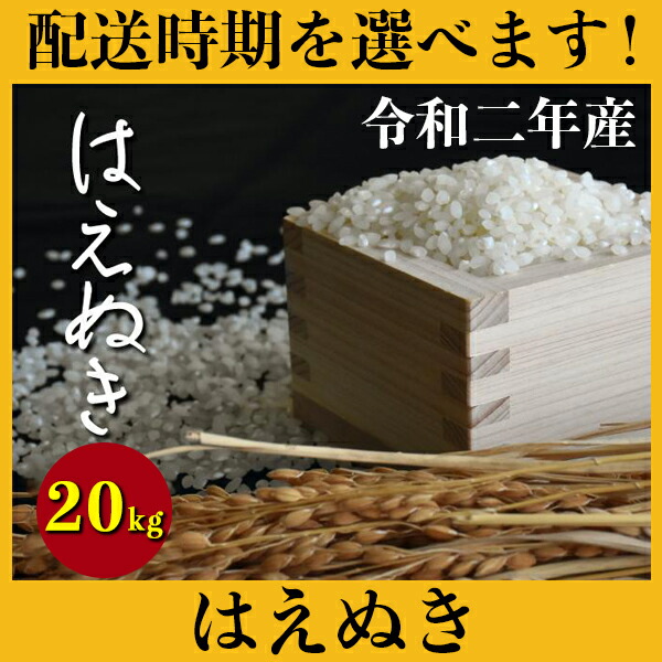 安いそれに目立つ 楽天市場 ふるさと納税 米 kg はえぬき 精米 令和2年産 年産 山形県村山市産 送料無料 0 D93 山形県村山市 値引きする Blog Belasartes Br