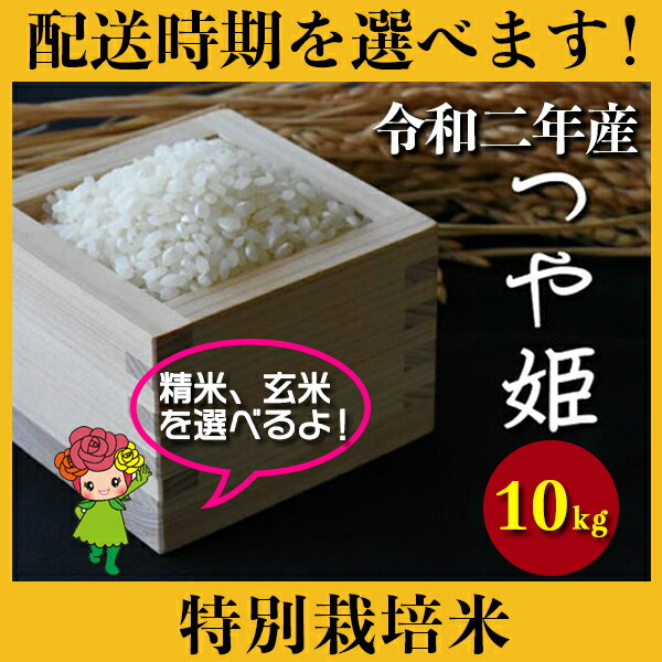 今月限定 特別大特価 楽天市場 ふるさと納税 米 10kg つや姫 特別栽培米 精米 玄米 令和2年産 年産 山形県村山市産 送料無料 山形県村山市 超人気 Blog Belasartes Br