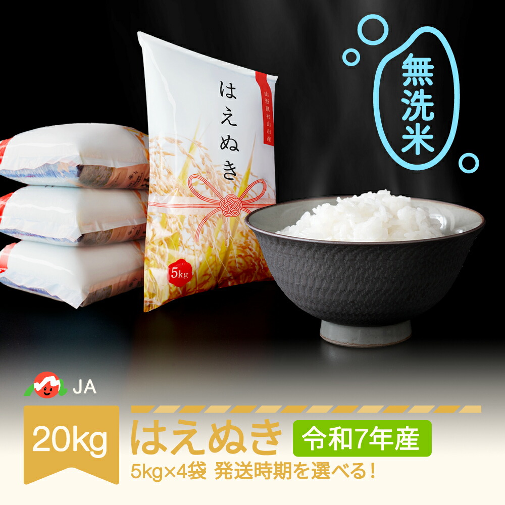 【ふるさと納税】 【先行予約】 新米 米 20kg 5kg×4 はえぬき 無洗米 令和7年産 山形県村山市産 送料無料<br>※沖縄・離島への配送不可