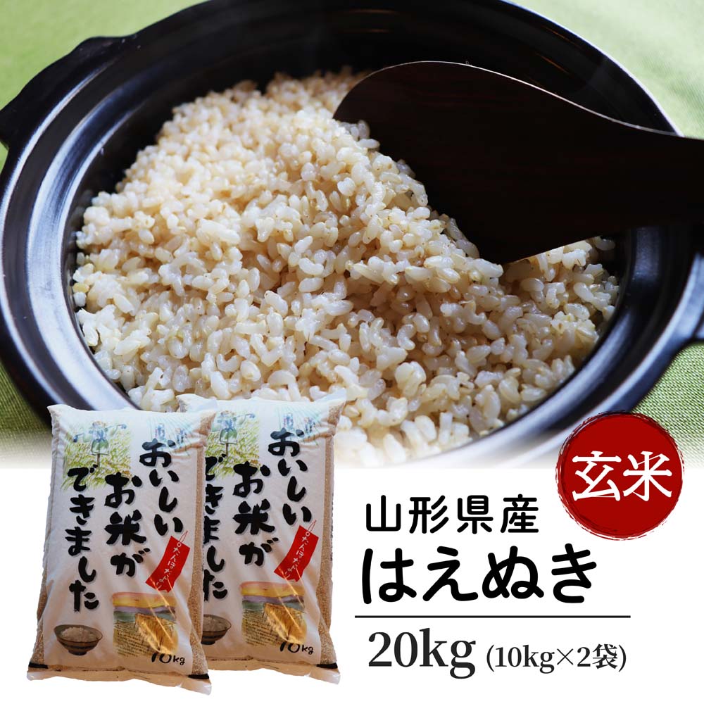 在庫有 楽天市場 ふるさと納税 玄米 kg 10kg 2袋 はえぬき 令和2年産 年産 山形県産 送料無料 山形県村山市 驚きの値段 Lexusoman Com