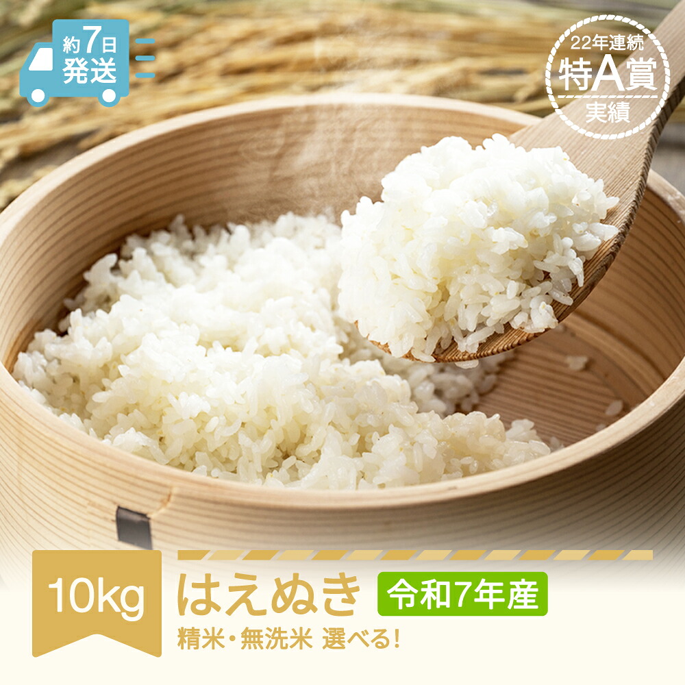 【ふるさと納税】【スピード配送】米 10kg 5kg×2 はえぬき 精米 無洗米 選べる 令和7年産 2025年産 山形県産 送料無料※沖縄・離島への配送不可 tf-haxxa10:山形県村山市