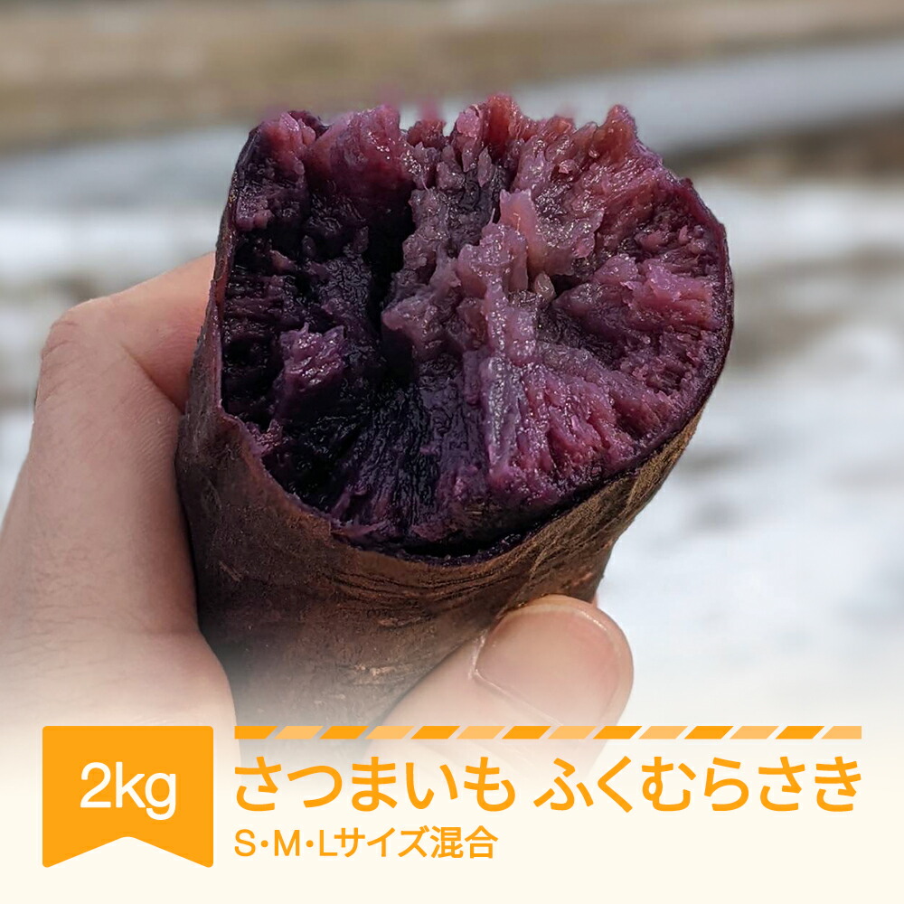【ふるさと納税】さつまいも ふくむらさき 紫芋 村山市産 約2kg 2025年産 令和7年産 送料無料 山形県産 ※沖縄・離島への配送不可