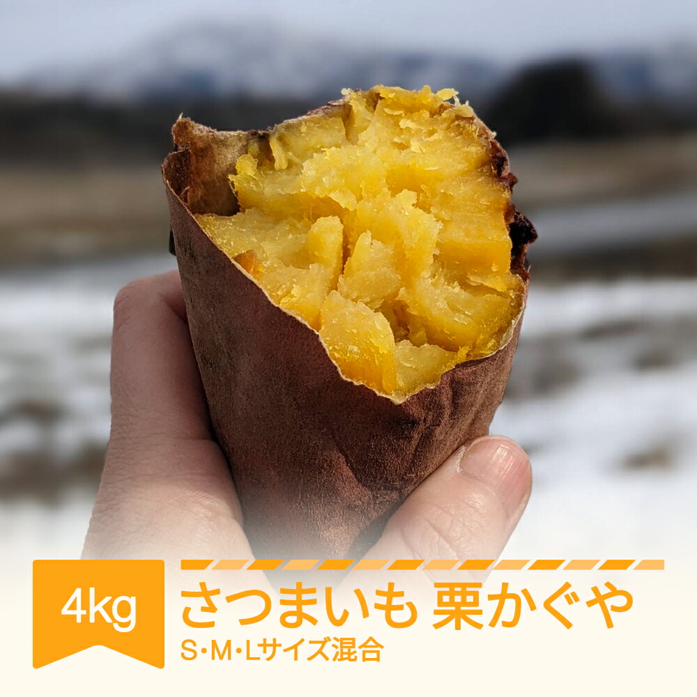 【ふるさと納税】さつまいも 栗かぐや 約4kg 村山市産 2025年産 令和7年 山形県産 no-spkkx4※沖縄・離島への配送不可