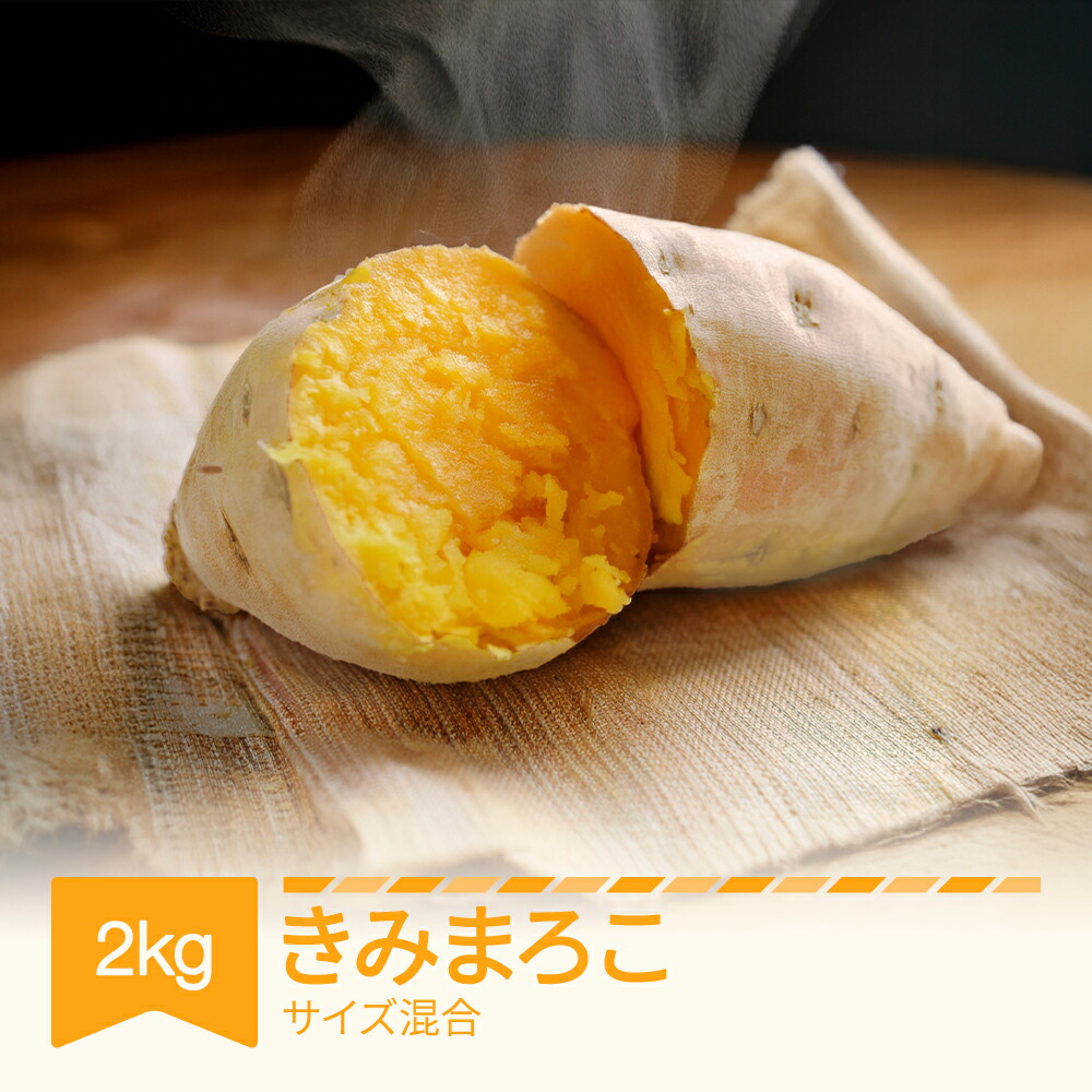 【ふるさと納税】さつまいも  きみまろこ  約2kg 村山市産 2025年産 令和7年 山形県産  芋    送料無料 ※沖縄・離島への配送不可  no-spkmx2