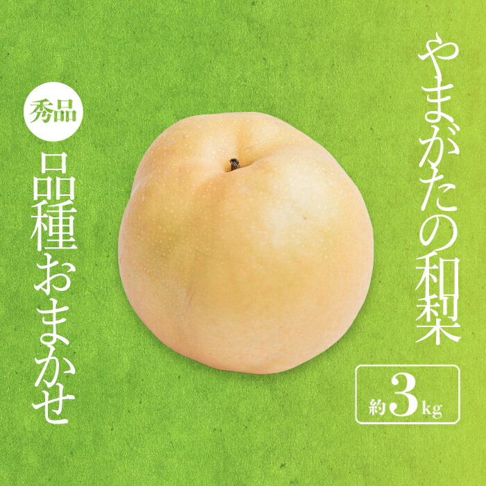【ふるさと納税】【2025年8月～9月発送分先行受付】「秀品」山形県産 和梨（品種おまかせ）約3kg_H175(R7)