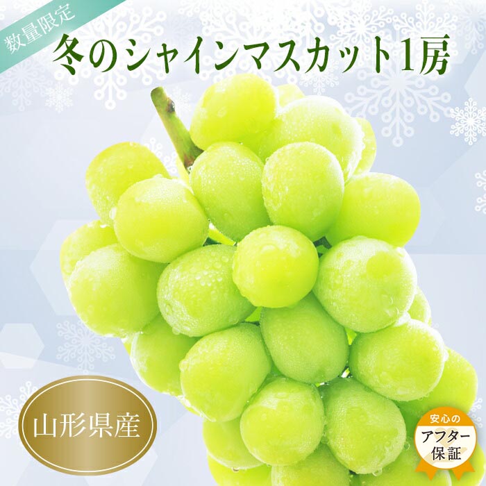【ふるさと納税】＼アフター保証対象品／ 高評価★5 山形 冬に味わう シャインマスカット 人気 の 種なし ぶどう 1房 （約700～800g） 特別な貯蔵方法で 秋の旬が冬にも味わえる 化粧箱入り ギフト にもぴったり 令和7年 2025 H067(R7)