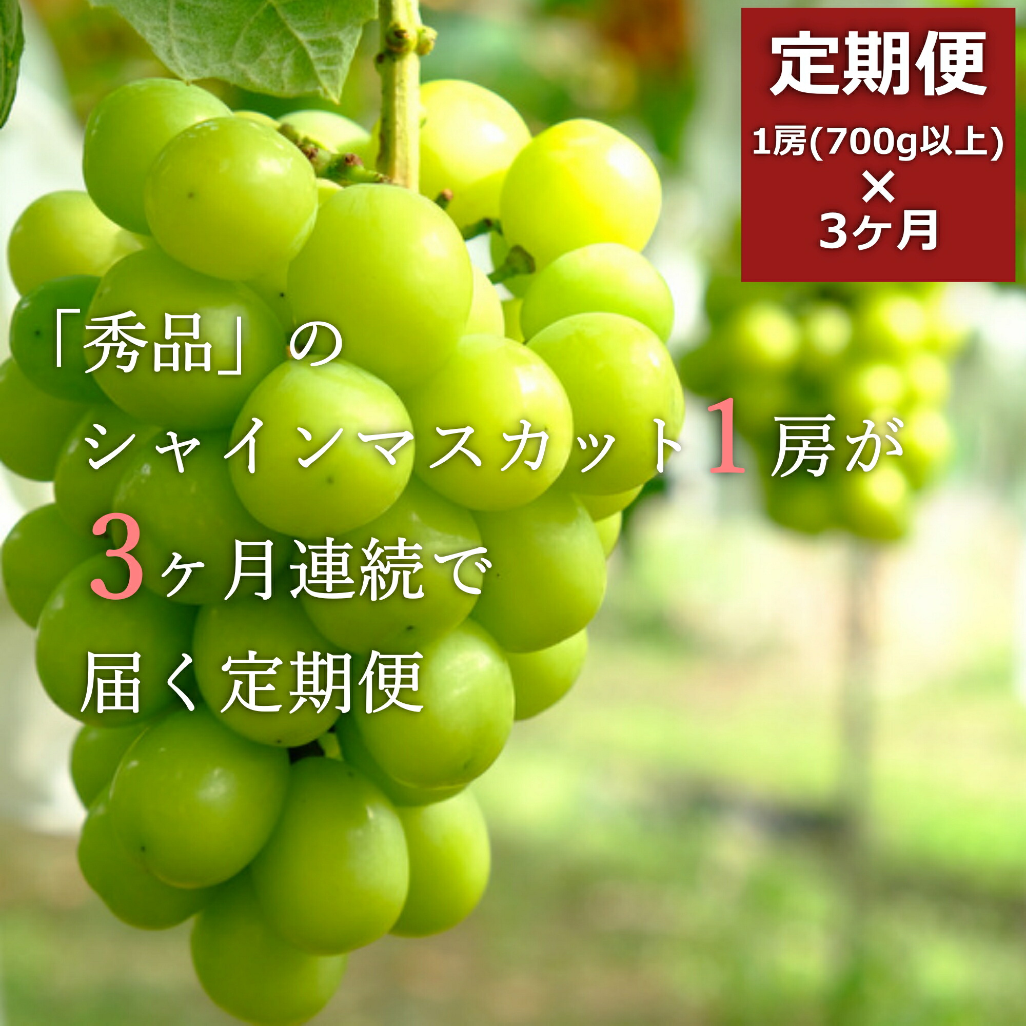 【ふるさと納税】【2025年9月～11月発送分先行受付】【定期便3ヶ月】「秀品」シャインマスカット700g以上(1房)×3ヶ月_H106(R7)
