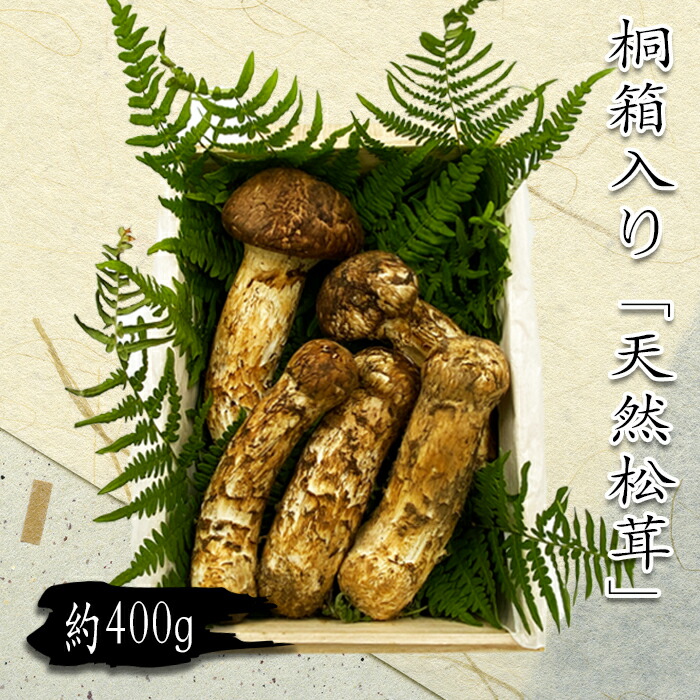 【ふるさと納税】【2025年9月～11月発送分先行受付】山形県産「天然松茸（まつたけ）」約400g(桐箱入)_H086(R7)