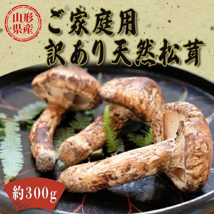 楽天市場】【ふるさと納税】【2026年発送】山形県産「天然松茸