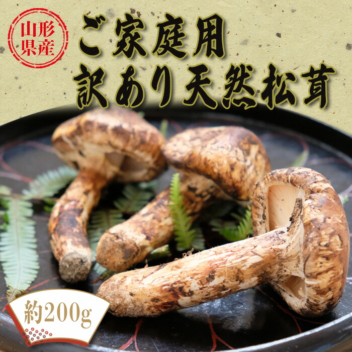 楽天市場】【ふるさと納税】【2026年発送】山形県産「天然松茸