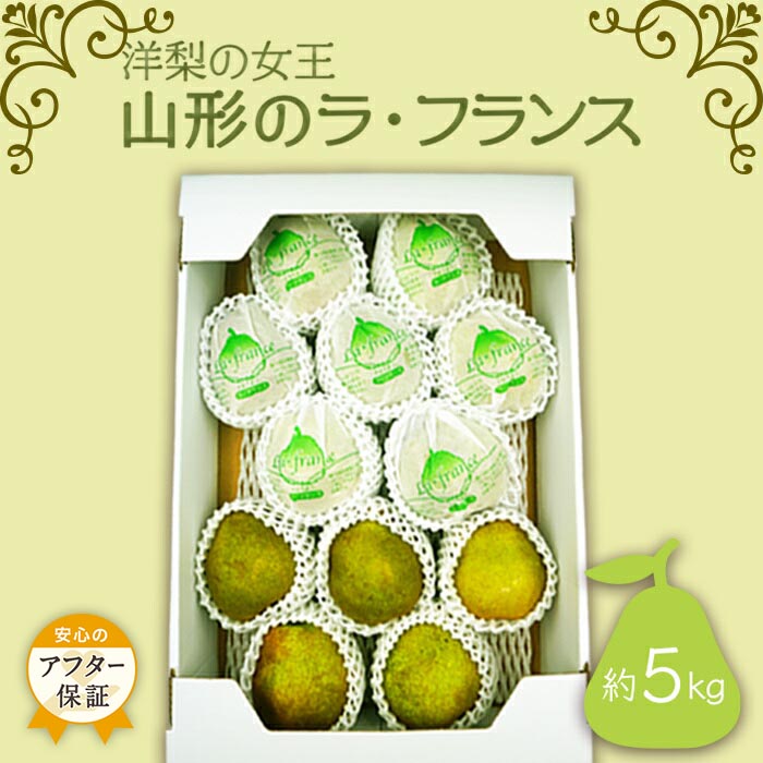 【ふるさと納税】＼アフター保証対象品／ 【2025年11月～12月発送】山形のラフランス 約5kg_H069(R7)