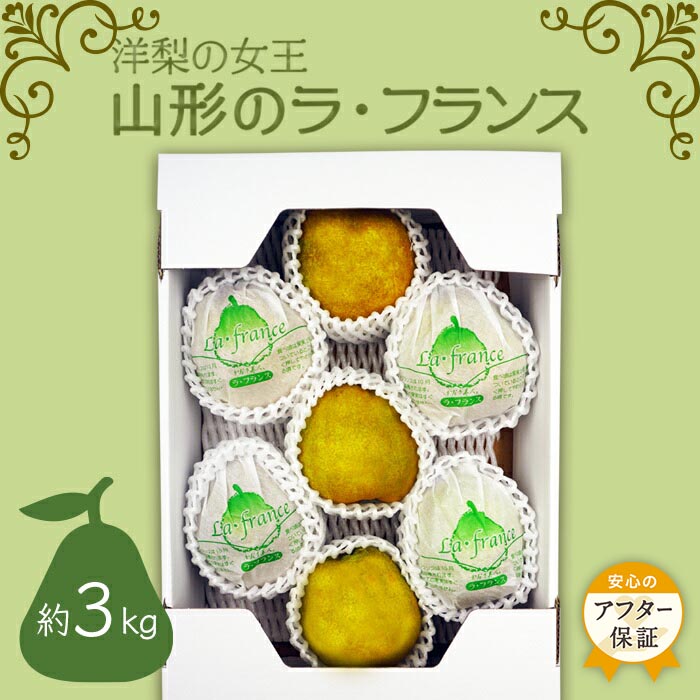 【ふるさと納税】＼アフター保証対象品／ 【2025年11月～12月発送】山形のラフランス 約3kg_H070(R7)
