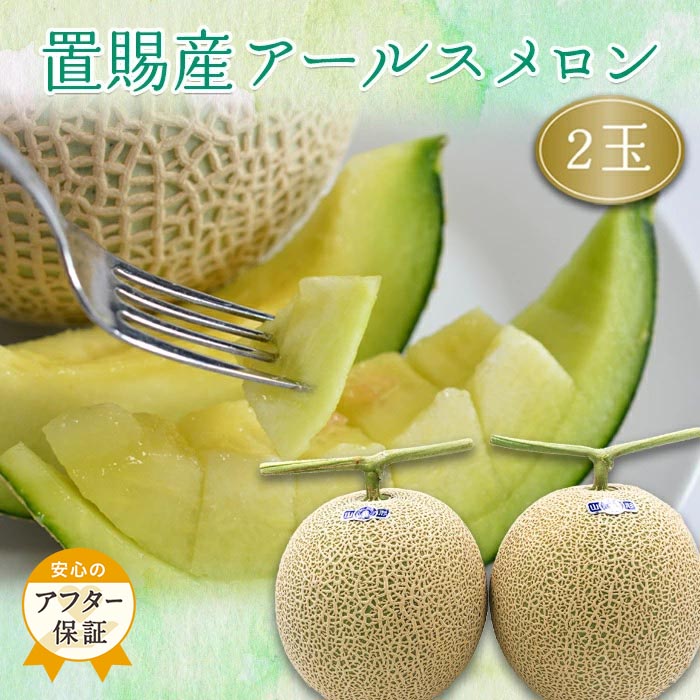【ふるさと納税】＼アフター保証対象品／【2025年8月～9月発送分】置賜産マスクメロン（アールスメロン）約1.75kg～2.0kg×2玉_H136(R7)