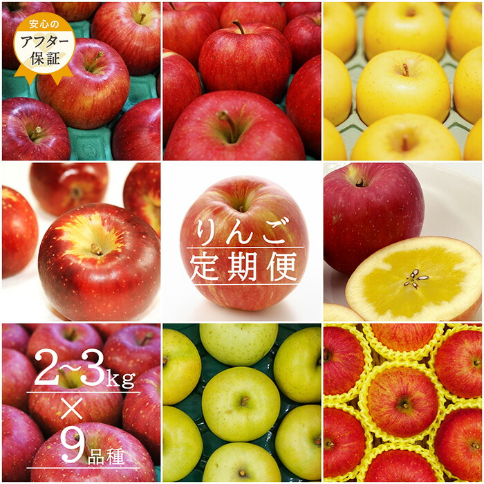 【ふるさと納税】＼アフター保証対象品／ 【2025年9月～12月発送】【定期便9回】「秀品」りんご2～3kg×9種_H151(R7)