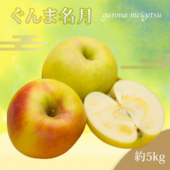【ふるさと納税】【2025年11月発送分先行受付】山形のりんご（ぐんま名月）約5kg_H208(R7)