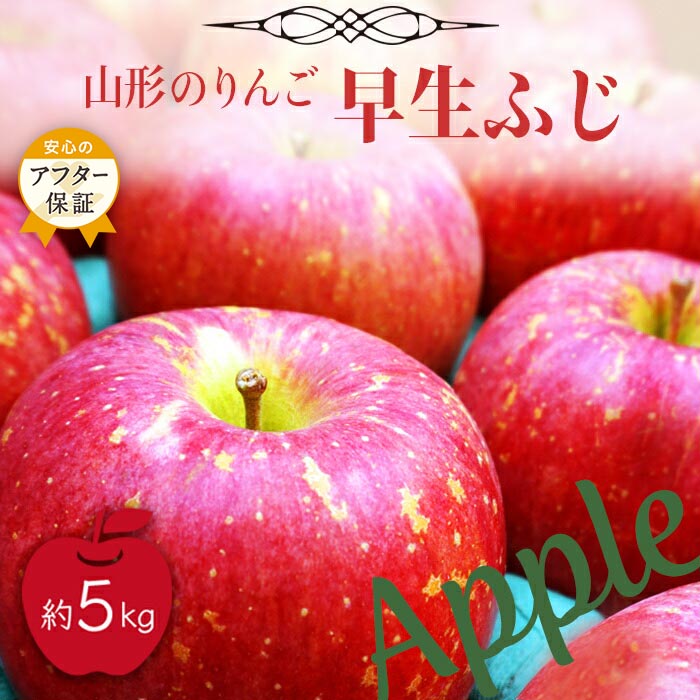 【ふるさと納税】＼アフター保証対象品／【2025年9月～10月発送】山形のりんご（早生ふじ）約5kg_H075(R7)