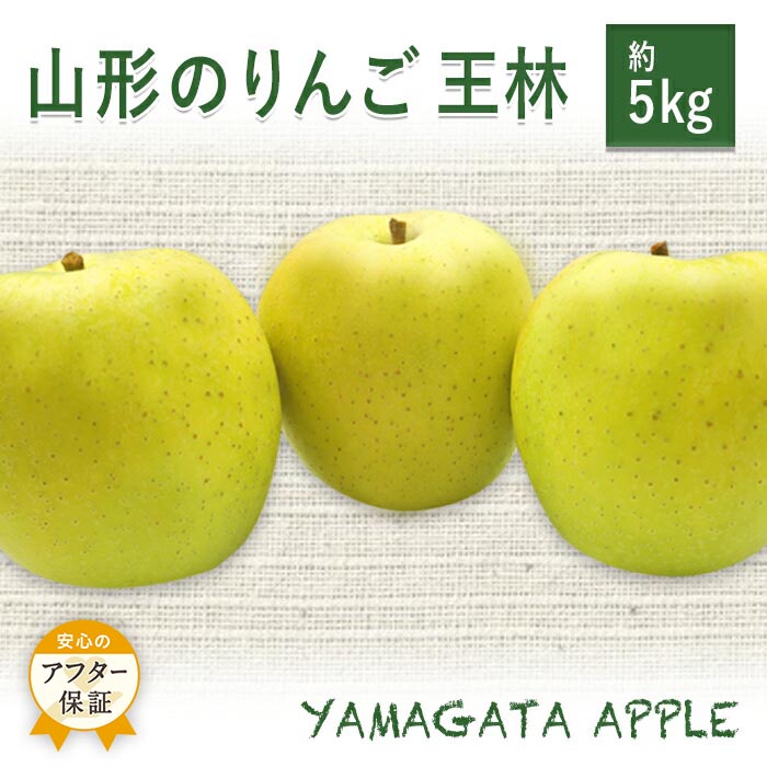 【ふるさと納税】＼アフター保証対象品／ 山形 りんご 約 5kg 王林 甘み と 香り が強く サクッと 軽い 食感 で 食べやすい 青りんご 【2025年11月発送】 H079(R7)