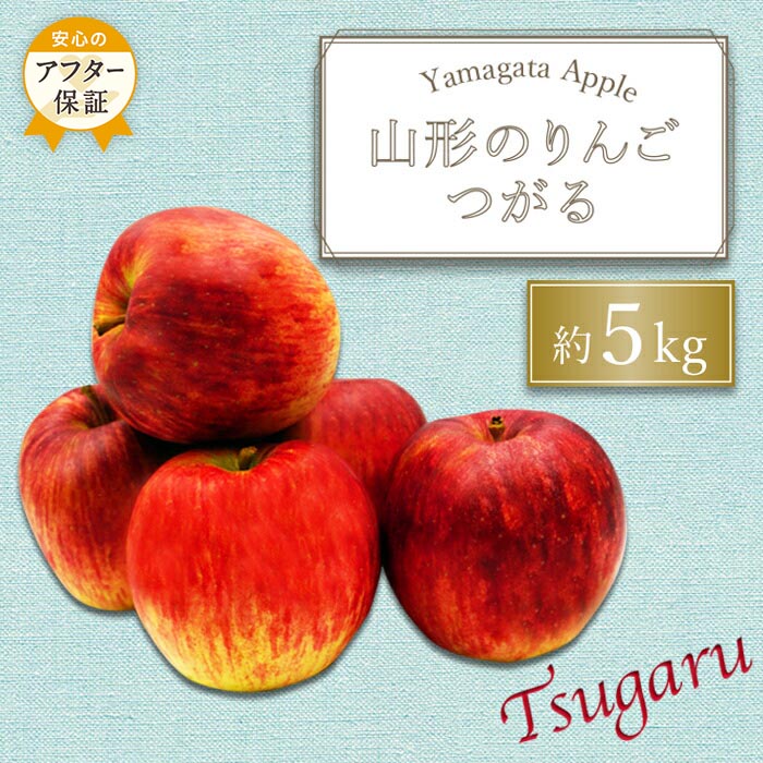 【ふるさと納税】＼アフター保証対象品／【2025年9月～10月発送】山形のりんご（つがる）約5kg_H074(R7)