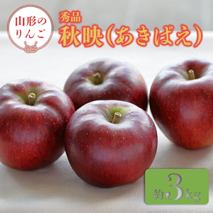 【ふるさと納税】【2025年9月～10月発送分先行受付】「秀品」山形のりんご（秋映）約3kg_H164(R7)