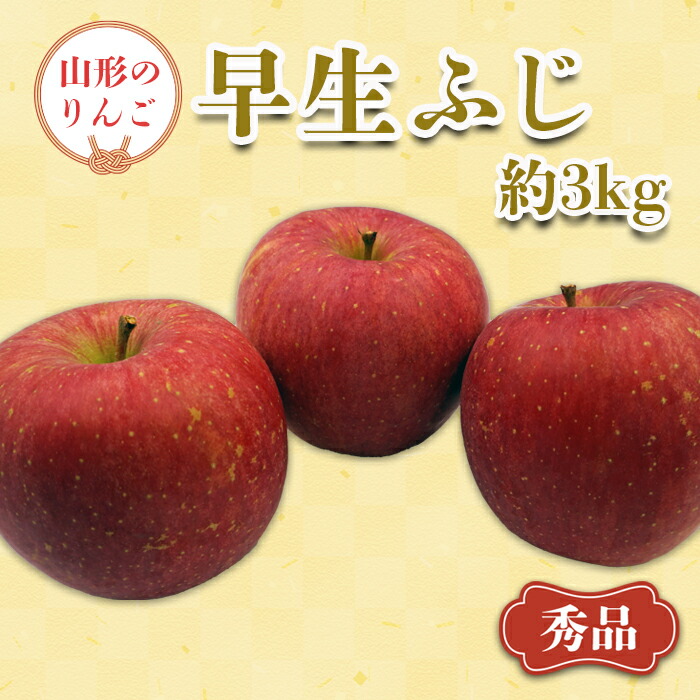 【ふるさと納税】【2025年9月～10月発送分先行受付】「秀品」山形のりんご（早生ふじ）約3kg_H165(R7)