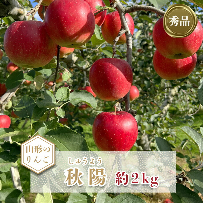 【ふるさと納税】【2025年10月発送分先行受付】「秀品」山形のりんご（秋陽）約2kg_H214(R7)