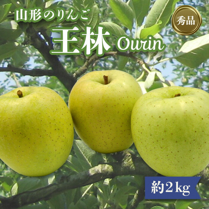 【ふるさと納税】【2025年11月発送分先行受付】「秀品」山形のりんご（王林）約2kg_H215(R7)