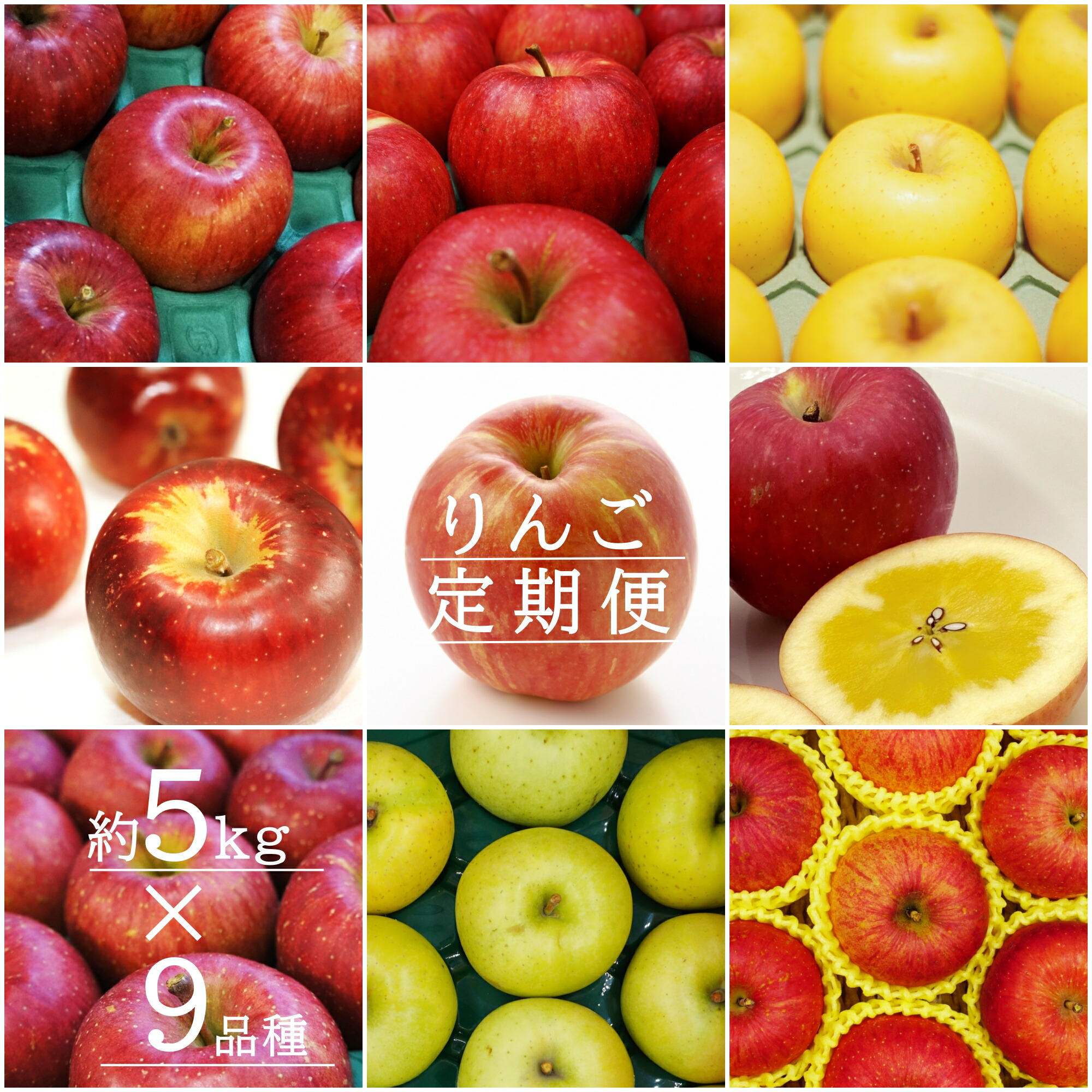 【ふるさと納税】【2025年9月～12月発送】【定期便9回】「秀品」りんご5kg×9種_H150(R7)