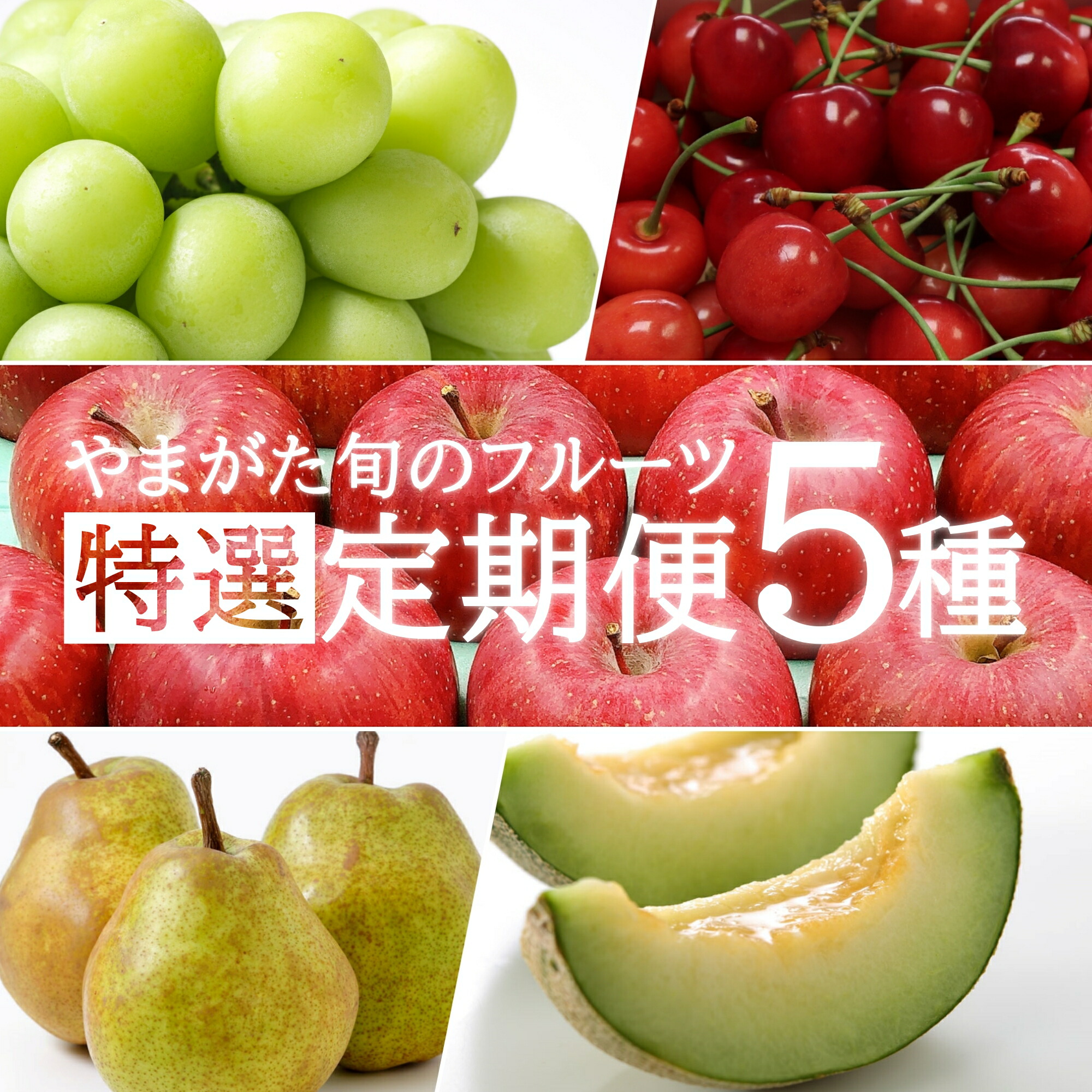 【ふるさと納税】【2025年6月～12月発送分先行受付】【定期便5回】山形の果物特選5選(さくらんぼ、メロン、シャインマスカット、ラ・フランス、サンふじりんご)_H199(R7)