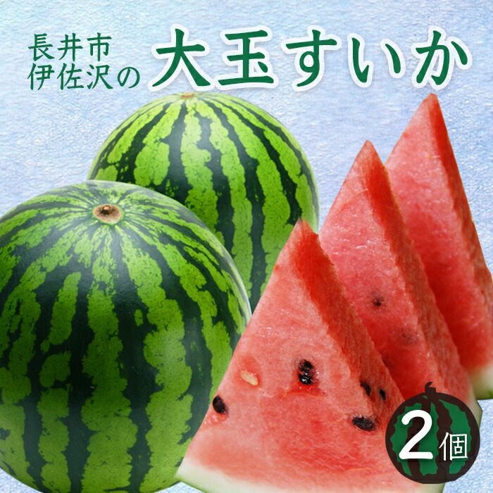 【ふるさと納税】【2025年7月～8月発送分先行受付】長井市伊佐沢の大玉すいか約8～11kg×2玉_H054(R7)