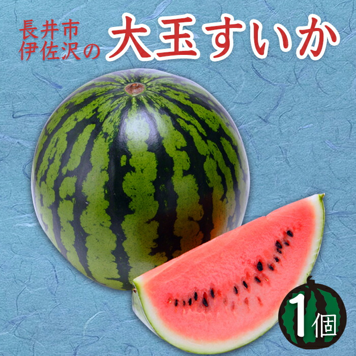 【ふるさと納税】【2025年7月～8月発送分先行受付】長井市伊佐沢の大玉すいか約6～8kg×1玉_H055(R7)