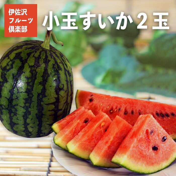 【ふるさと納税】【2025年7月～8月発送分先行受付】伊佐沢フルーツ倶楽部の小玉すいか2玉_H098(R7)