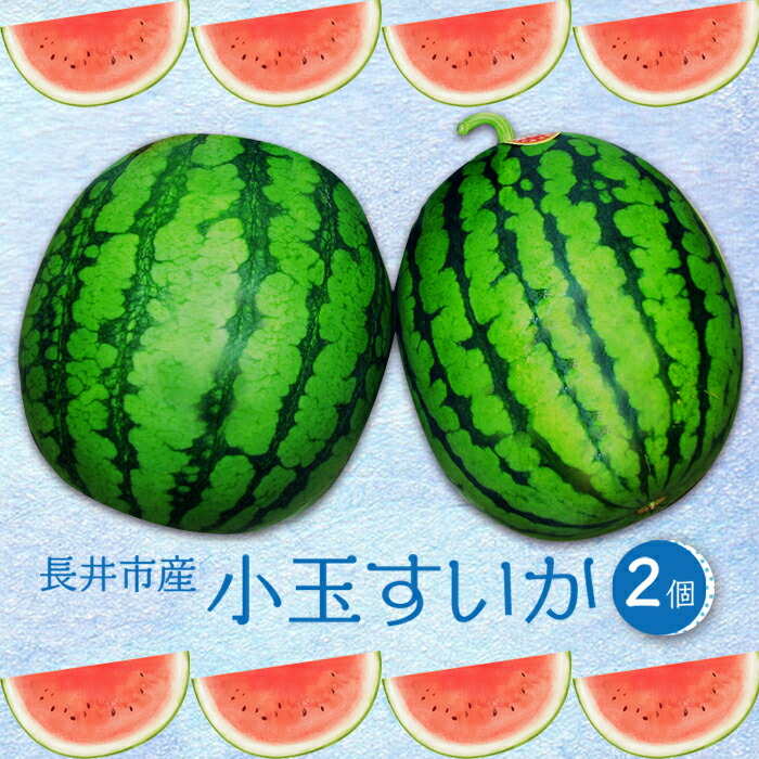 【ふるさと納税】【2025年7月～8月発送分先行受付】小玉すいか（長井市産）約1.5～3kg×2玉_H053(R7)