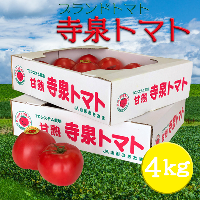 【ふるさと納税】【2025年5月～10月発送分先行受付】長井が誇る桃太郎系ブランドトマト「寺泉トマト」約4kg(2kg×2箱)_H101(R7)