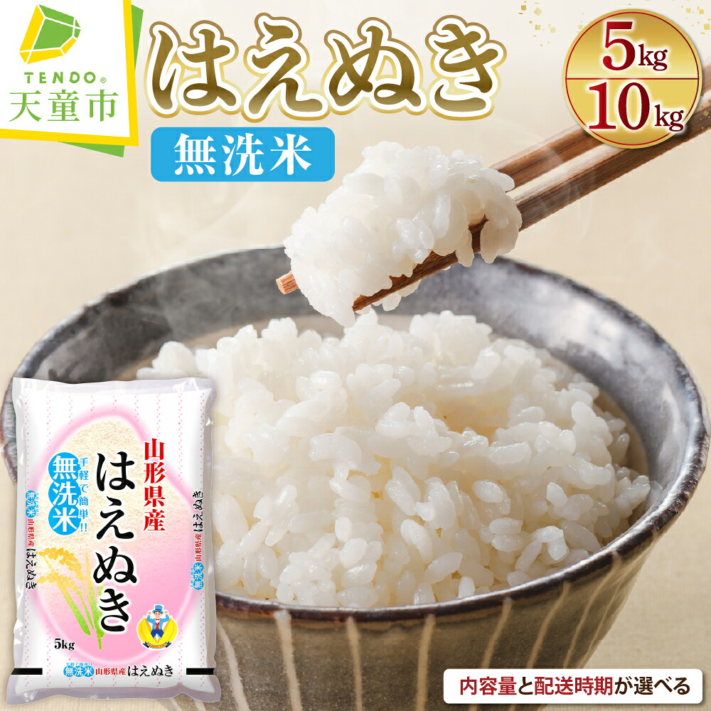 ふるさと納税　はえぬき　5キロ✖️2 米 10kg 5kg×2 はえぬき 精米 令和6年産 2024年産 山形県産