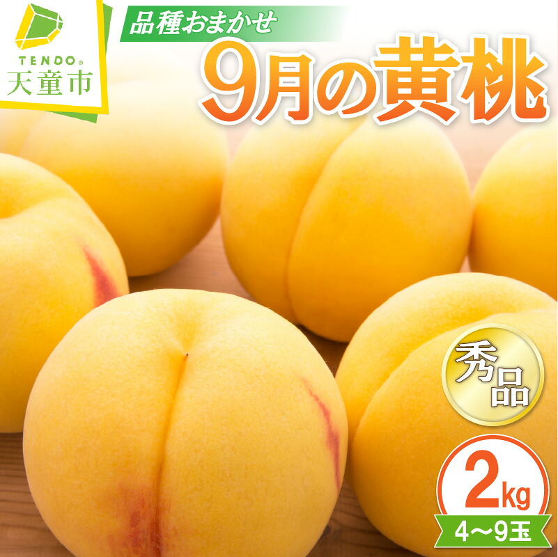 【ふるさと納税】 9月 の 黄桃 2kg 秀 先行予約 令和8年産 2026年産 もも 桃 おうとう ピーチ peach フルーツ 果物 くだもの フルーツ デザート 夏 旬 冷蔵 ご家庭用 のし 贈答 ギフト プレゼント お取り寄せグルメ 産地直送 送料無料 【 山形県 天童市 】｜山形県天童市