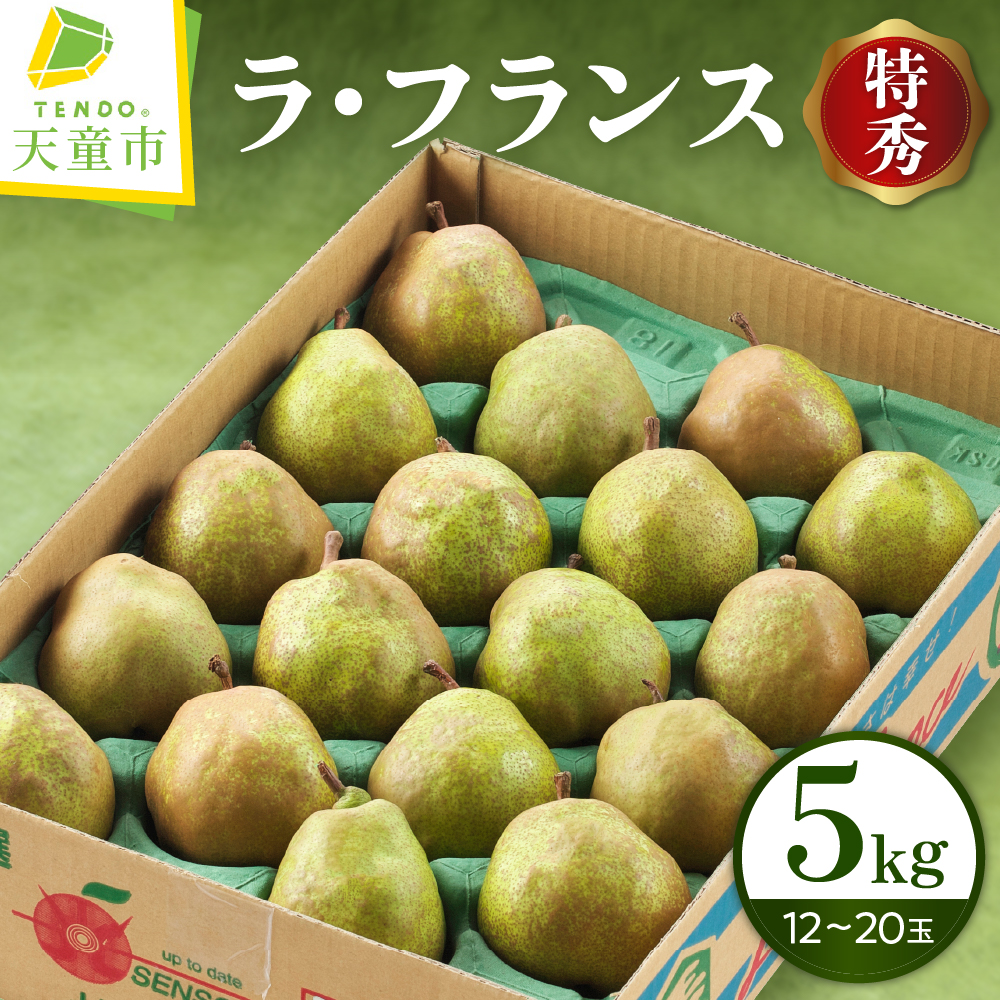 【ふるさと納税】 ラ・フランス 5kg <br><br> ラフランス 洋梨 果物 フルーツ 特秀 12玉 ～ 20玉 ご家庭用 のし 贈答 ギフト プレゼント おすそ分け お取り寄せ 旬 秋 冬 期間限定 産地直送 送料無料 先行予約 【 山形県 天童市 】