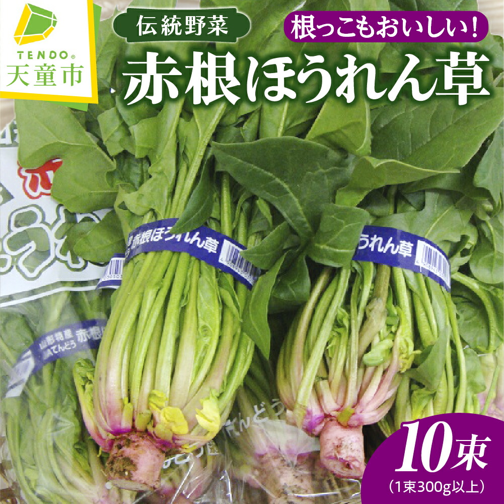【ふるさと納税】 根っこもおいしい！ 赤根 ほうれん草 10束 1束 300g以上 野菜 ホウレンソウ 柔らかい 甘い のし 贈答 ギフト プレゼント おすそ分け お取り寄せ 送料無料 先行予約 【 山形県 天童市 】
