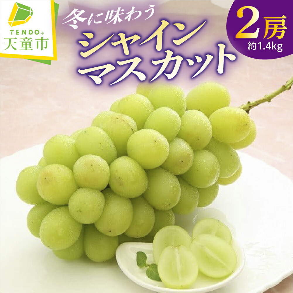 【ふるさと納税】 冬に味わう『シャインマスカット』 1.4kg 令和8年産 先行予約 2026年マスカット ぶどう 葡萄 くだもの フルーツ のし 贈答用 お取り寄せ グルメ ギフト プレゼント 送料無料 【 山形県 天童市 】